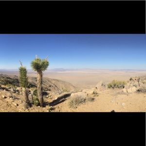 Meet your Posher, Todd